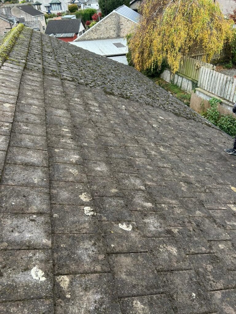 Best Roof Moss Cleaning